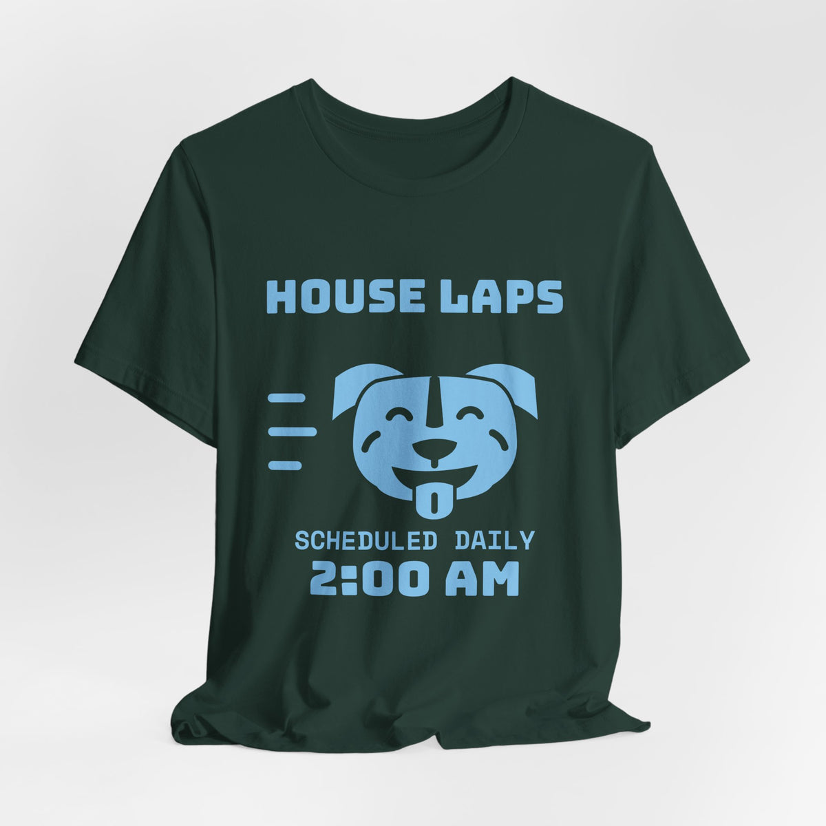 House Laps Scheduled Daily 2:00 AM Tee (Sky Blue Ink)