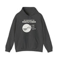 My Budget Is Mostly Vibes Hoodie (Dark)