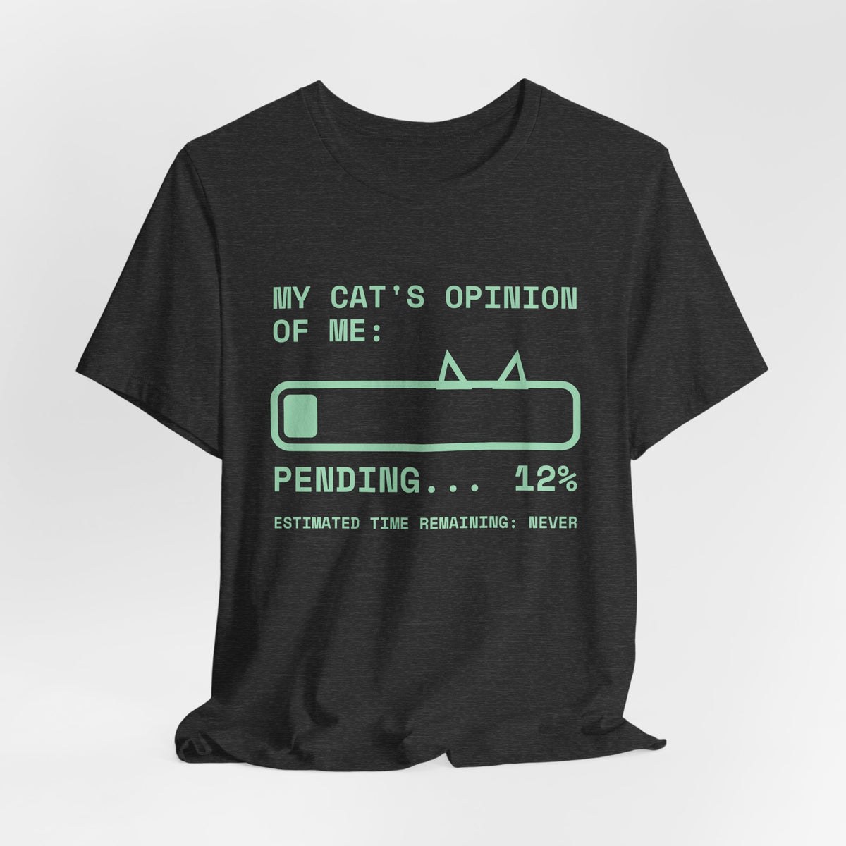 My Cat's Opinion of Me: Pending Tee (Mint Green Ink)