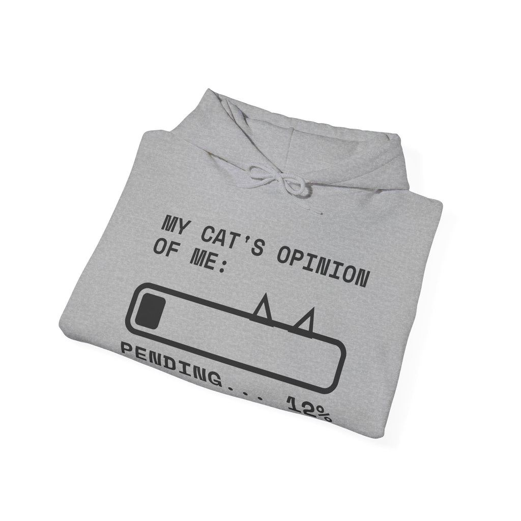 My Cat's Opinion of Me: Pending Hoodie (Light)
