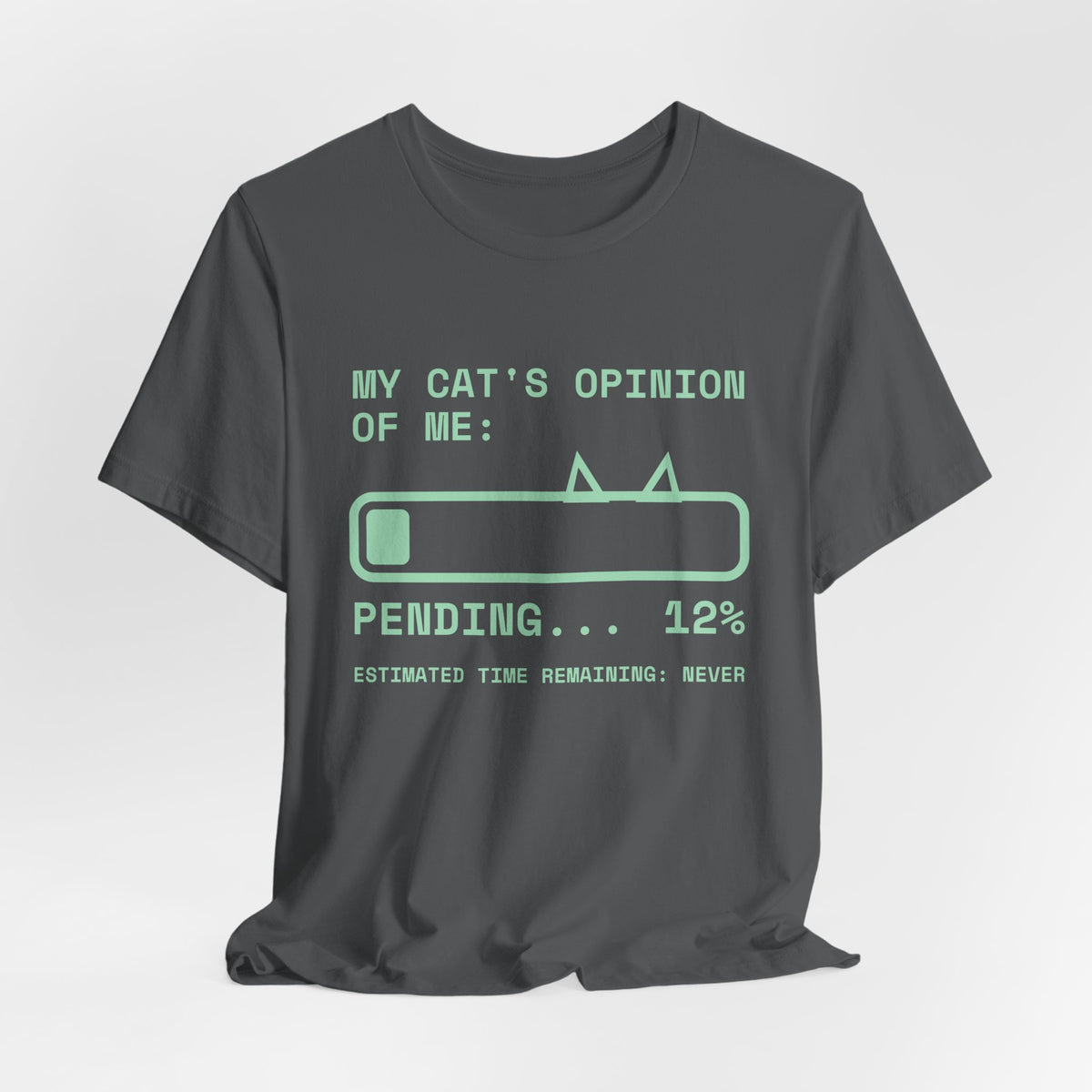 My Cat's Opinion of Me: Pending Tee (Mint Green Ink)