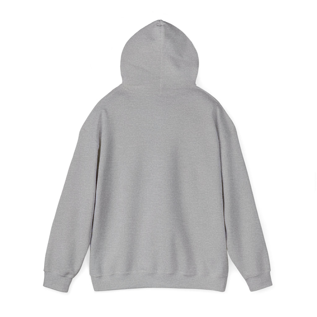 I Came for the Ham Hoodie (Light)