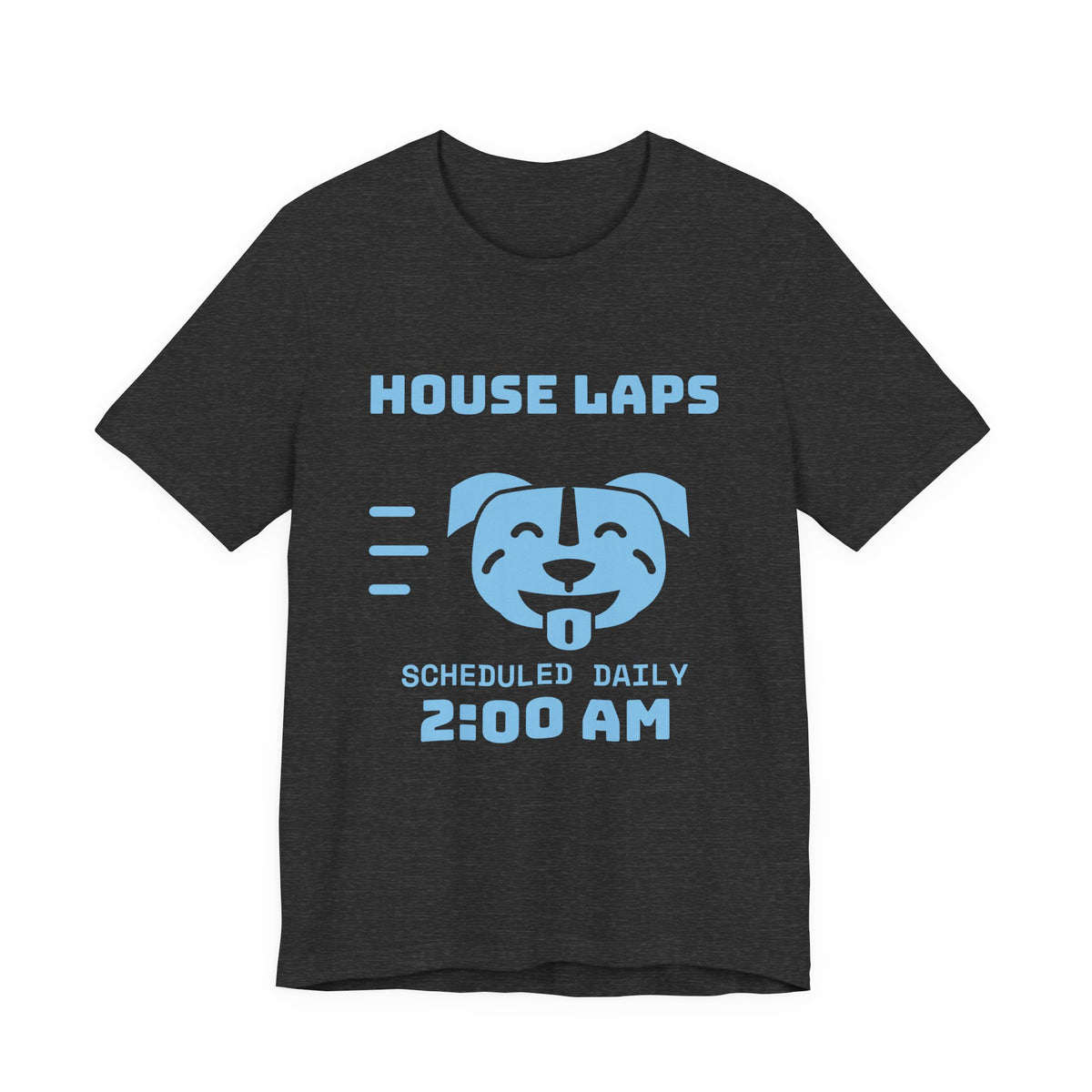 House Laps Scheduled Daily 2:00 AM Tee (Sky Blue Ink)