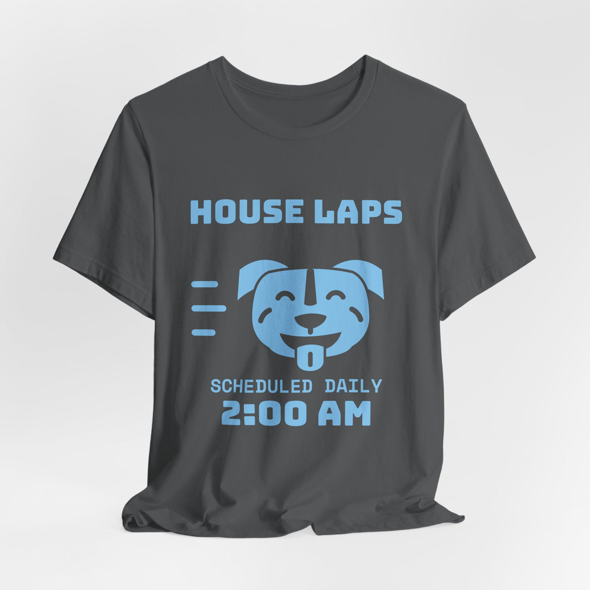 House Laps Scheduled Daily 2:00 AM Tee (Sky Blue Ink)