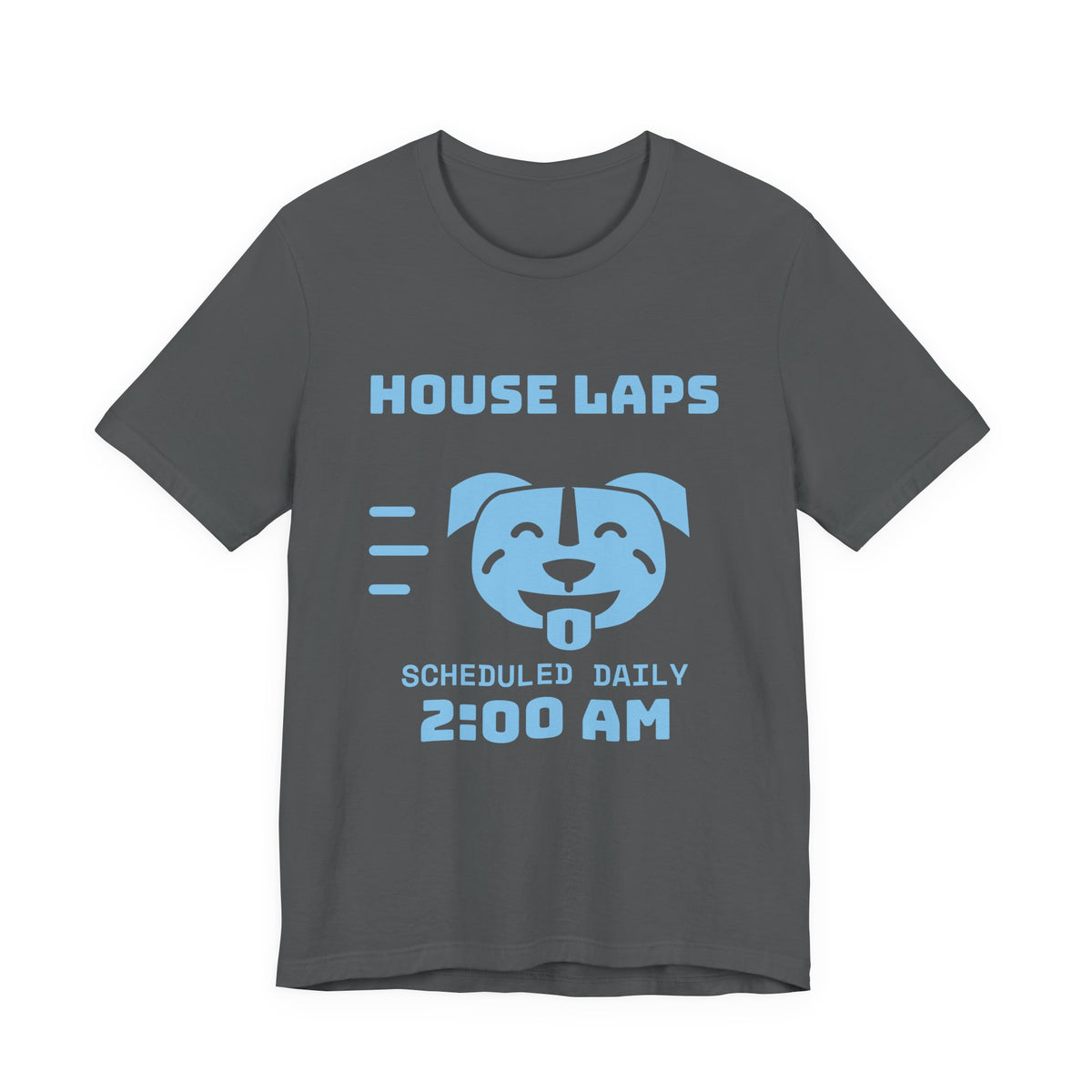 House Laps Scheduled Daily 2:00 AM Tee (Sky Blue Ink)