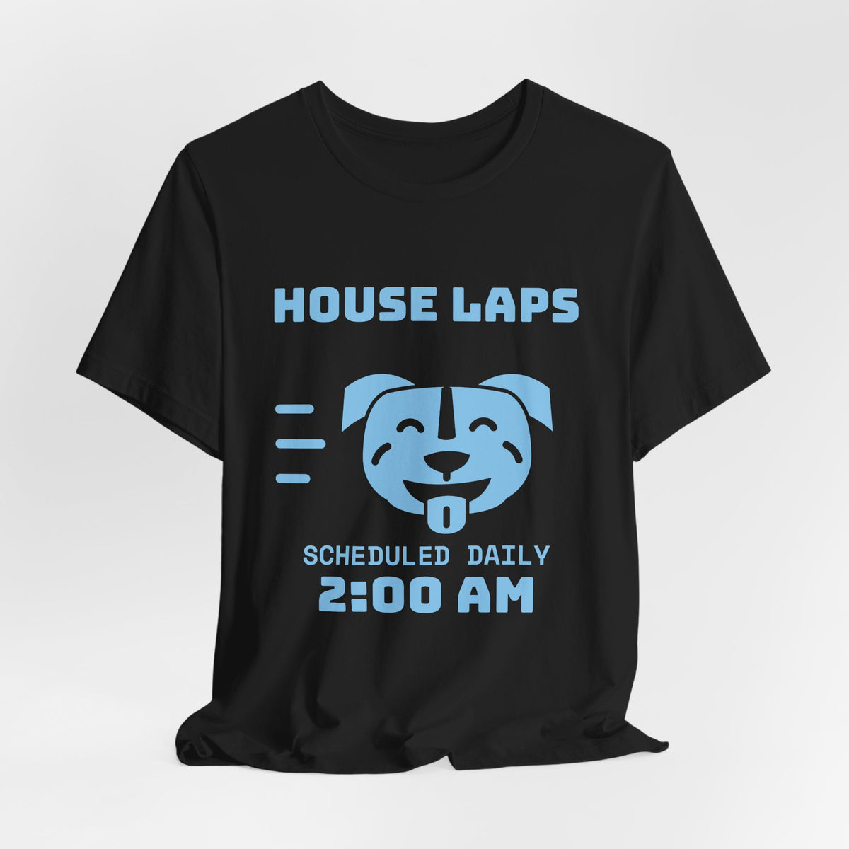 House Laps Scheduled Daily 2:00 AM Tee (Sky Blue Ink)