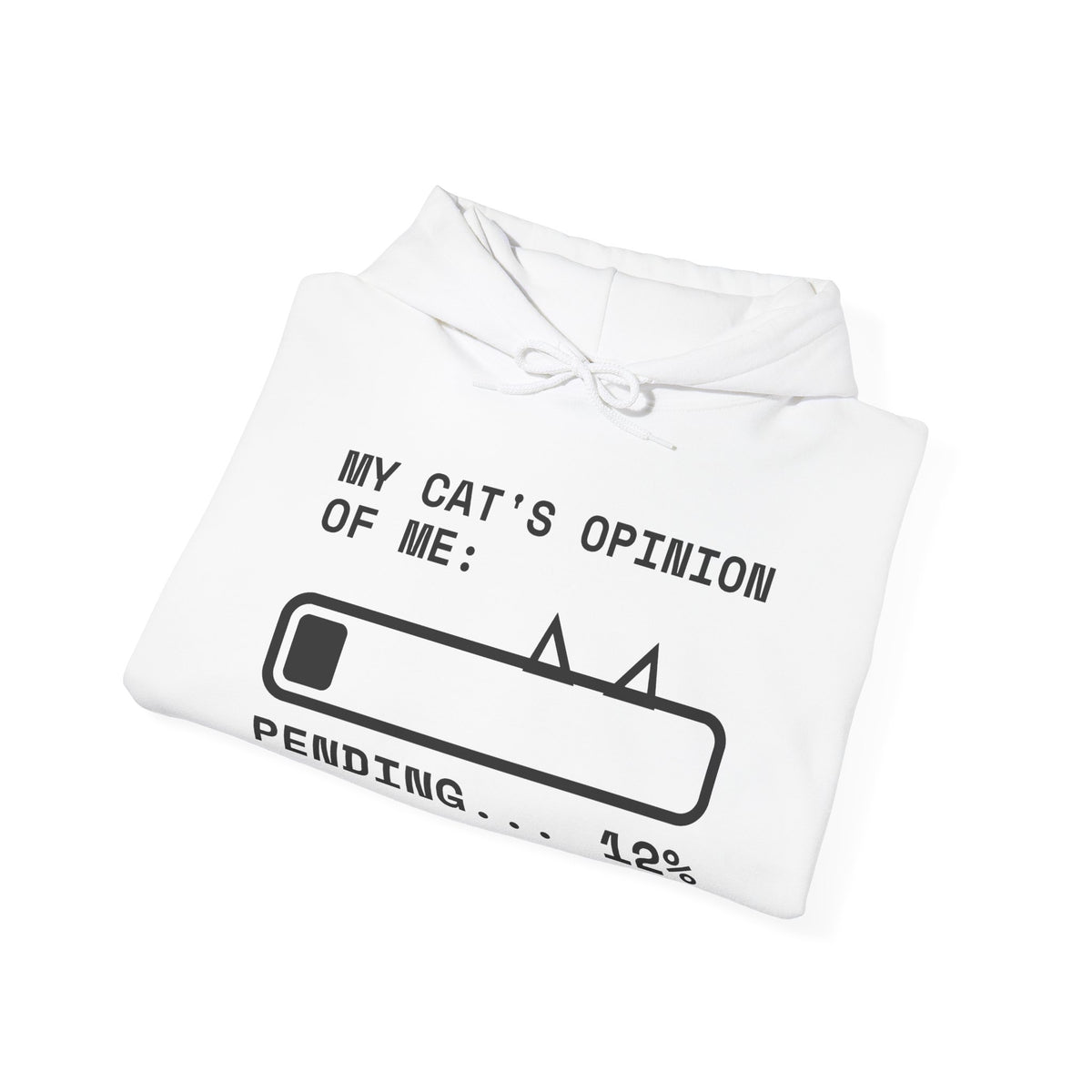 My Cat's Opinion of Me: Pending Hoodie (Light)