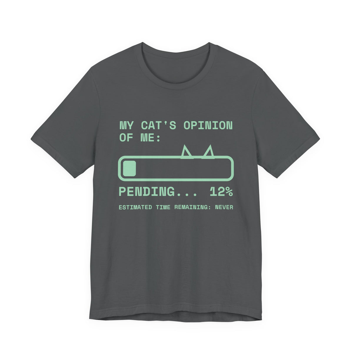 My Cat's Opinion of Me: Pending Tee (Mint Green Ink)