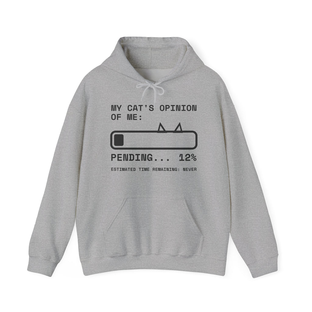My Cat's Opinion of Me: Pending Hoodie (Light)