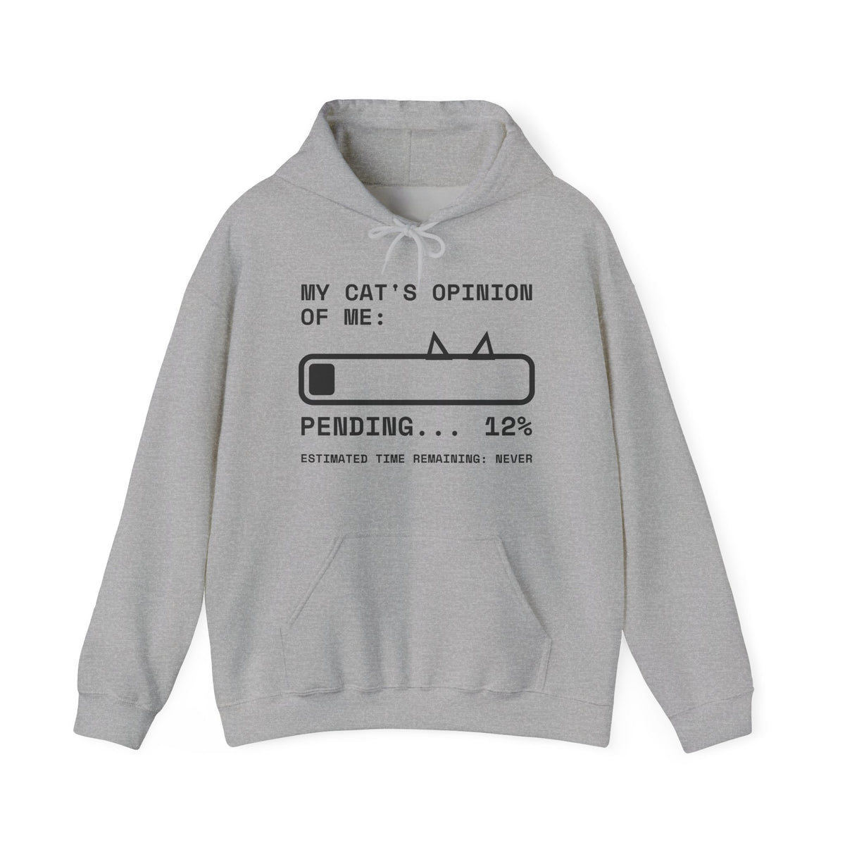 My Cat's Opinion of Me: Pending Hoodie (Light)